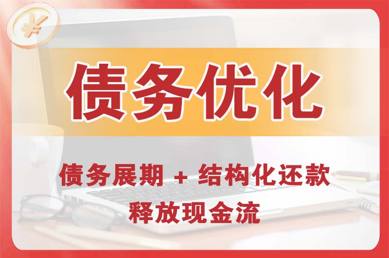 新民债务优化